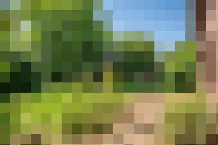 Tiberiuslaan 3 Venlo thumbnail 39