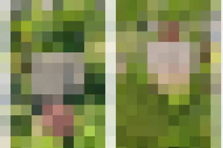 Tiberiuslaan 3 Venlo thumbnail 4