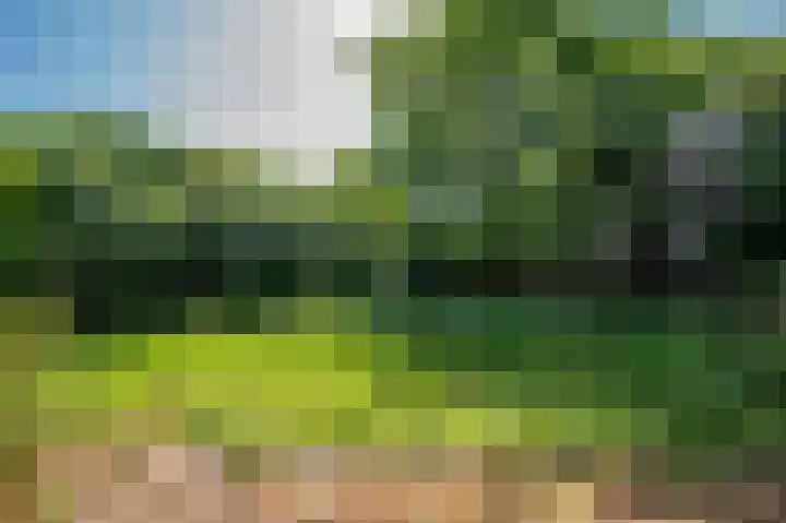 Tiberiuslaan 3 Venlo thumbnail 40