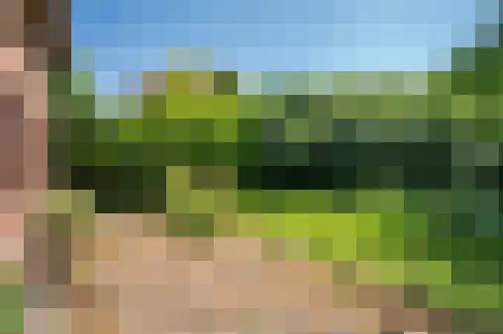 Tiberiuslaan 3 Venlo thumbnail 41