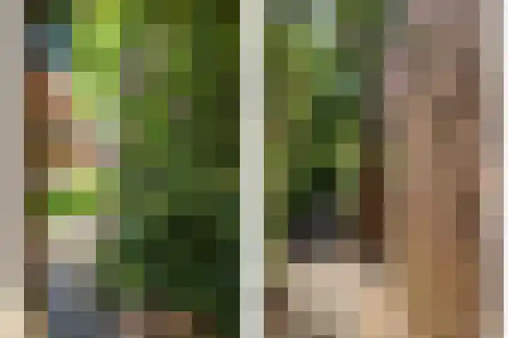 Tiberiuslaan 3 Venlo thumbnail 43