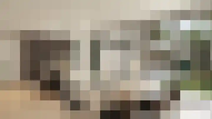 Tiberiuslaan 3 Venlo thumbnail 8