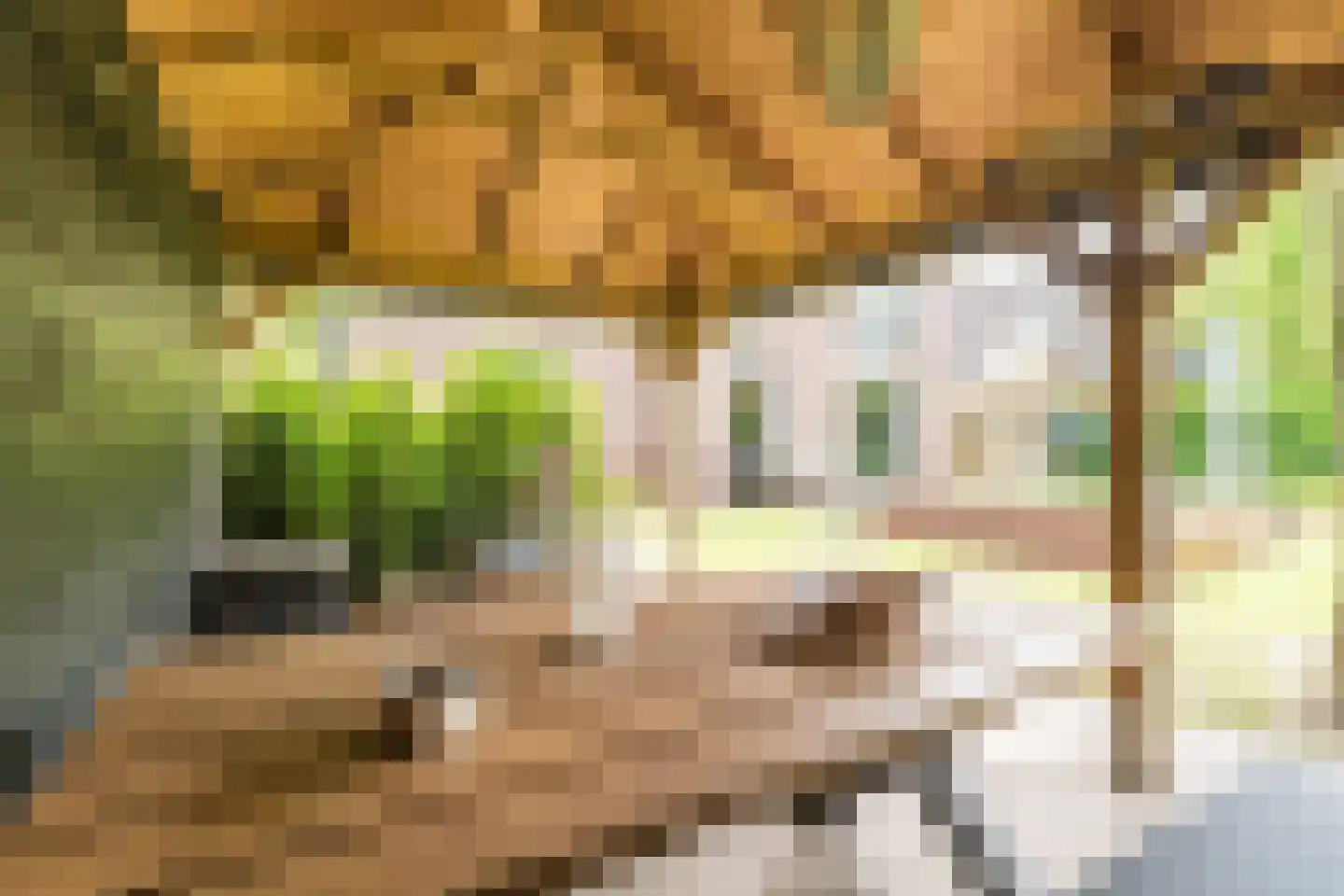Tiberiusweg 7 De Meern thumbnail 23