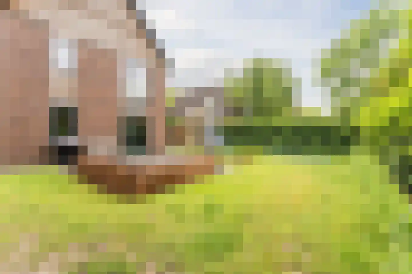 Tiberiusweg 7 De Meern thumbnail 26