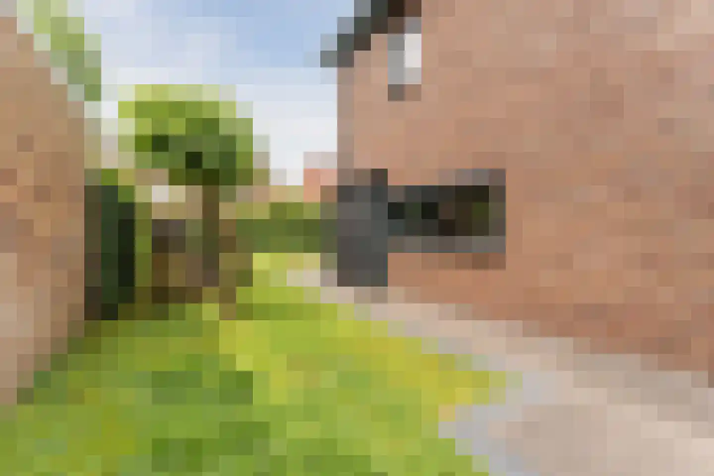 Tiberiusweg 7 De Meern thumbnail 32