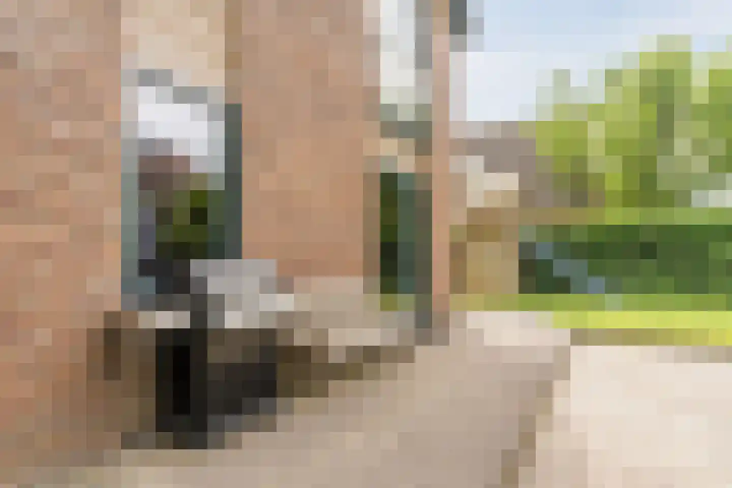 Tiberiusweg 7 De Meern thumbnail 34