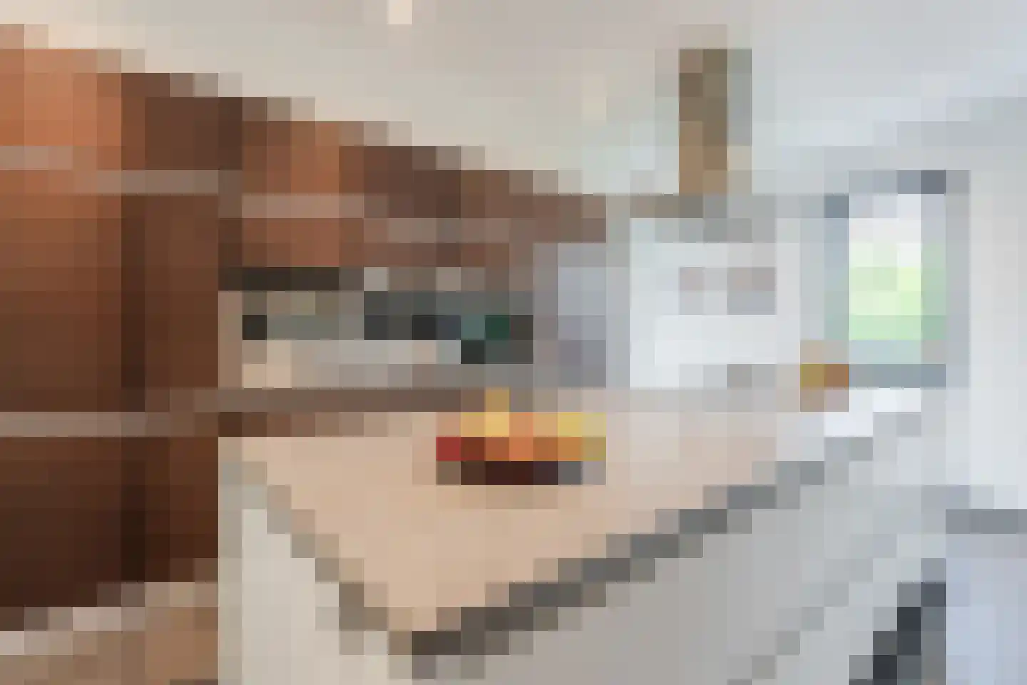 Tiberiusweg 7 De Meern thumbnail 42