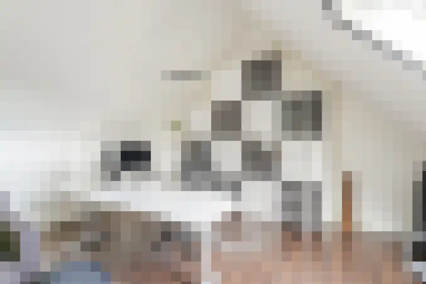 Tiberiusweg 7 De Meern thumbnail 81