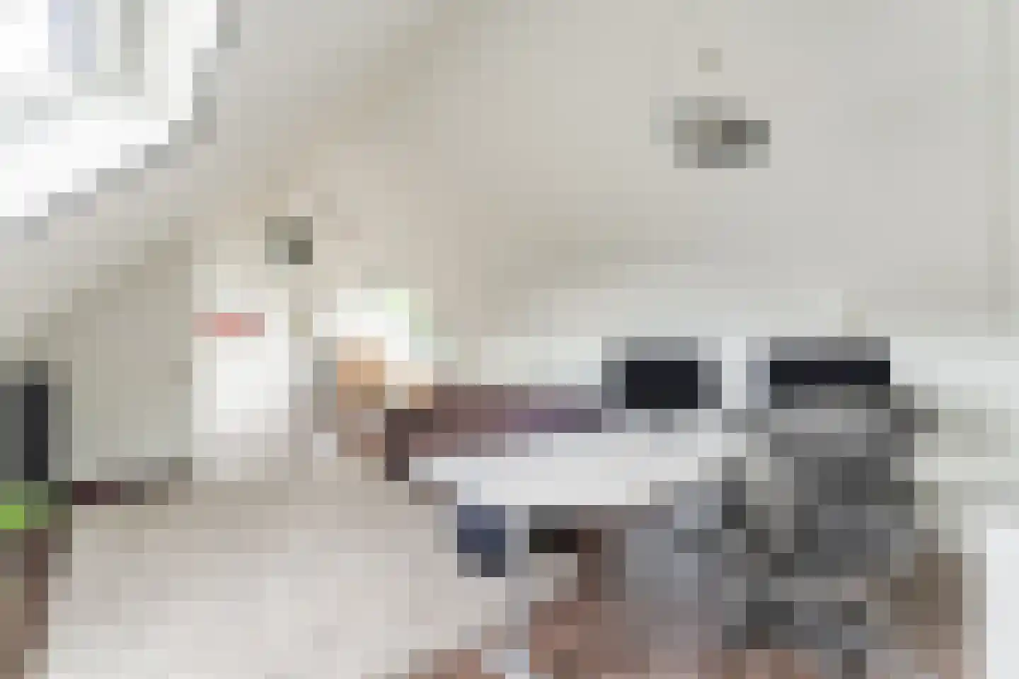 Tiberiusweg 7 De Meern thumbnail 83