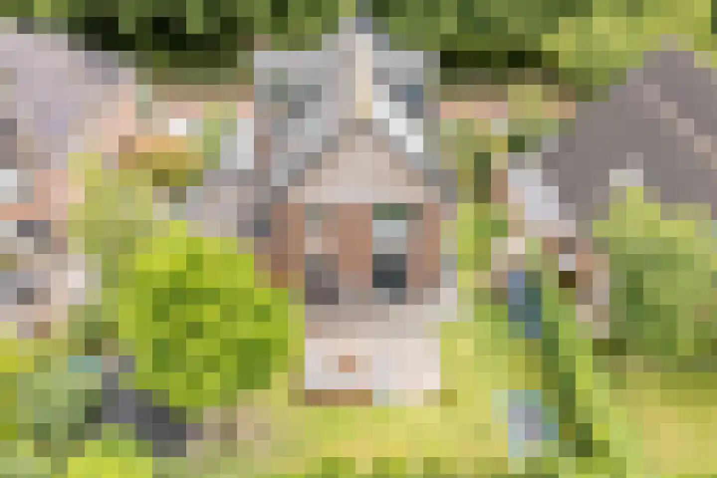 Tiberiusweg 7 De Meern thumbnail 88