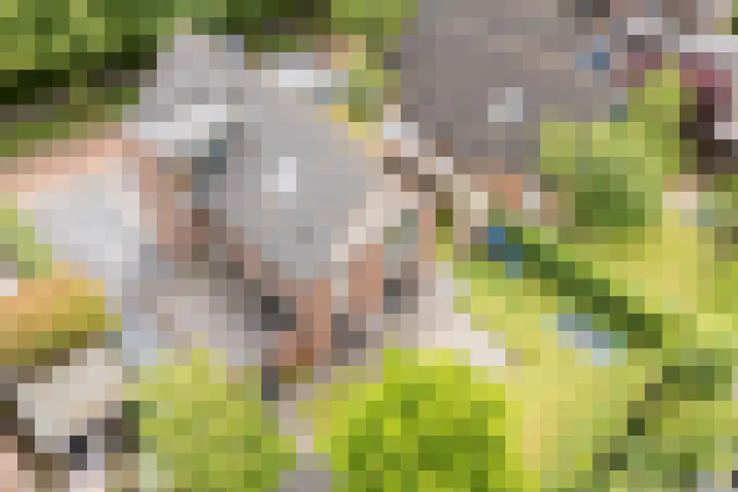 Tiberiusweg 7 De Meern thumbnail 91