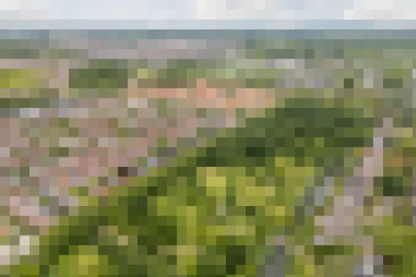 Tiberiusweg 7 De Meern thumbnail 93