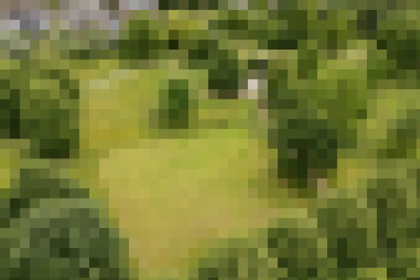 Tiberiusweg 7 De Meern thumbnail 94