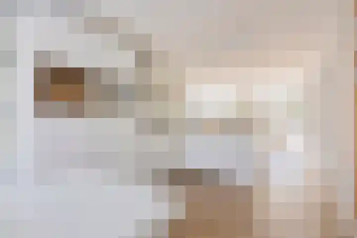 Tibetlaan 2 Drunen thumbnail 10