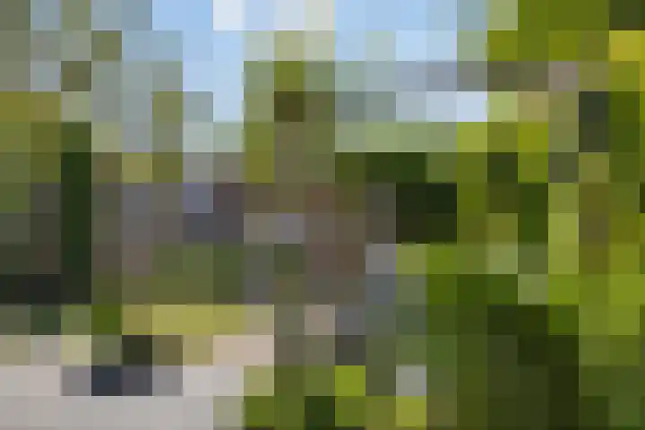 Tibetlaan 2 Drunen thumbnail 32