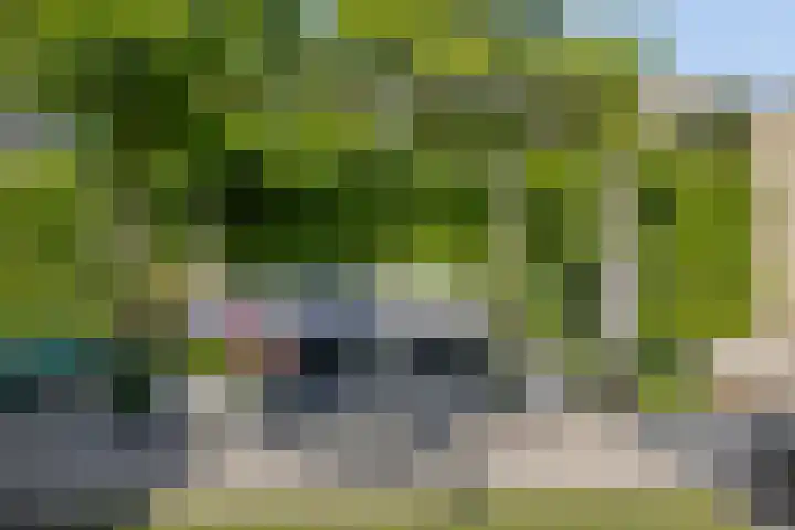 Tibetlaan 2 Drunen thumbnail 34