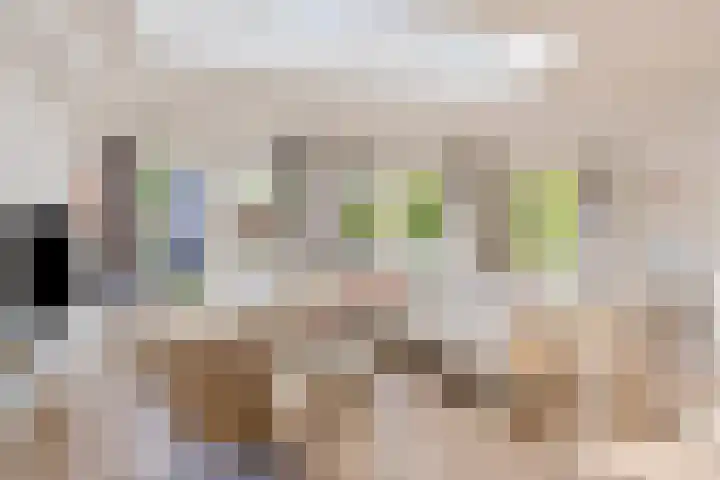 Tibetlaan 2 Drunen thumbnail 4