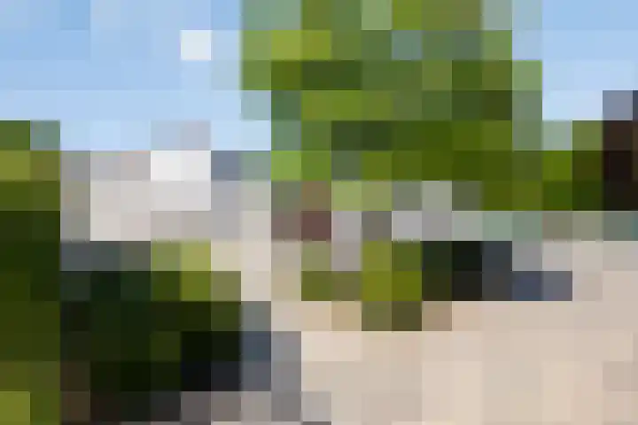 Tibetlaan 2 Drunen thumbnail 46