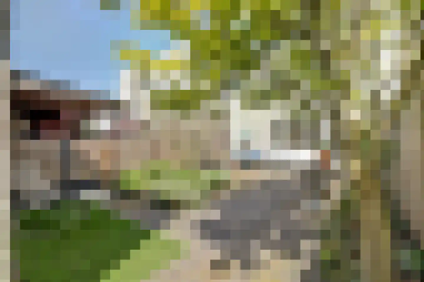Tibetstraat 20 Delft thumbnail 16