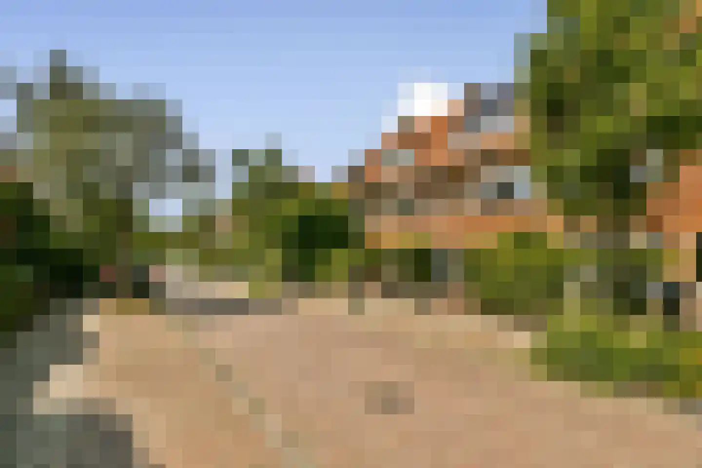 Tiboel Siegenbeekstraat 11 Leiden thumbnail 5