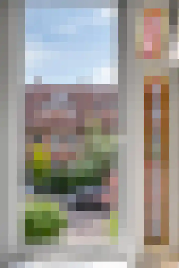 Tiboel Siegenbeekstraat 23 Leiden thumbnail 31