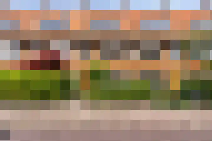 Tiboel Siegenbeekstraat 23 Leiden thumbnail 5