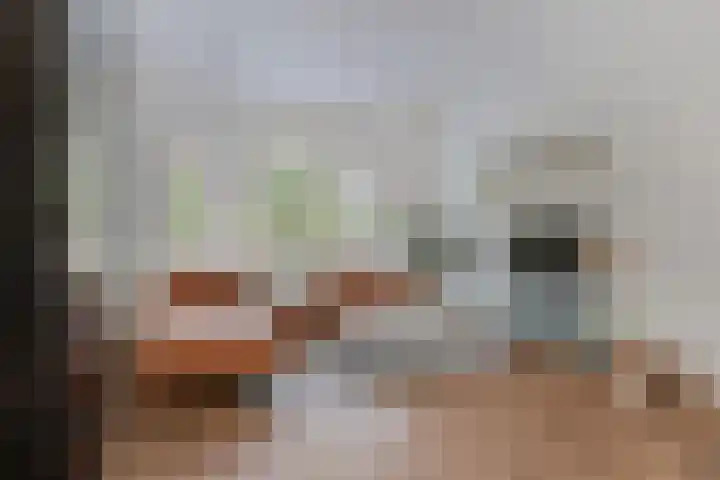 Tiboel Siegenbeekstraat 23 Leiden thumbnail 7