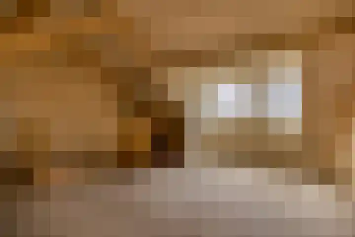 Tiboschlaan 45 Schijndel thumbnail 24