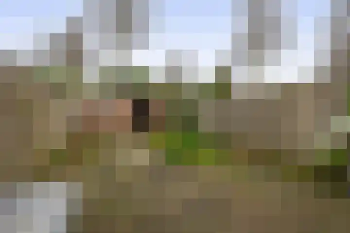 Tiboschlaan 45 Schijndel thumbnail 26
