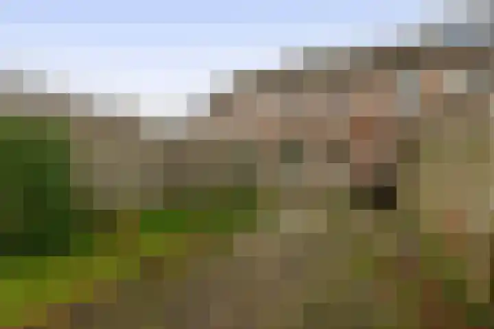 Tiboschlaan 45 Schijndel thumbnail 27