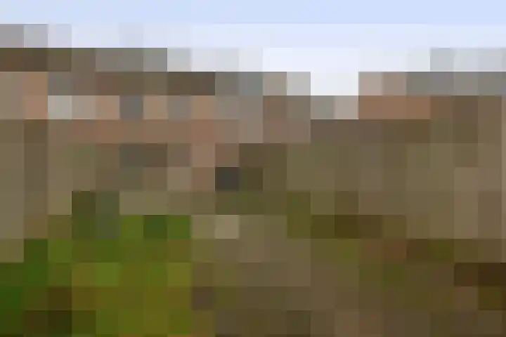 Tiboschlaan 45 Schijndel thumbnail 28