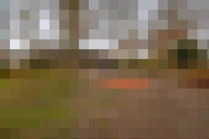 Tiboschlaan 45 Schijndel thumbnail 31