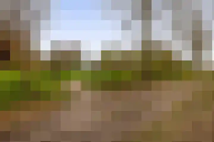 Tiboschlaan 45 Schijndel thumbnail 32