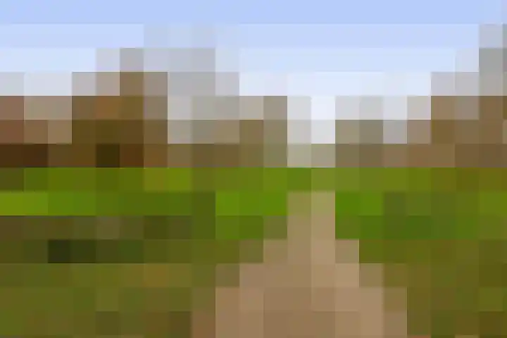 Tiboschlaan 45 Schijndel thumbnail 33