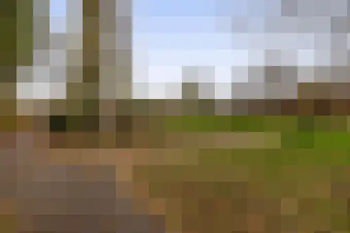 Tiboschlaan 45 Schijndel thumbnail 34