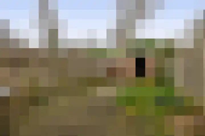 Tiboschlaan 45 Schijndel thumbnail 4
