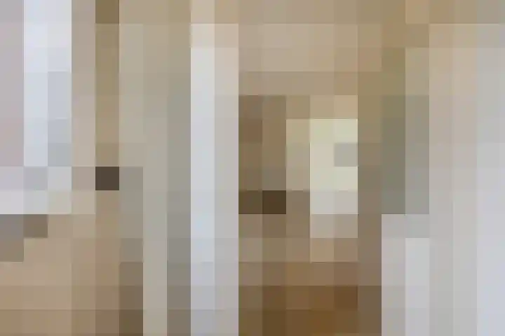 Tiboschlaan 45 Schijndel thumbnail 5