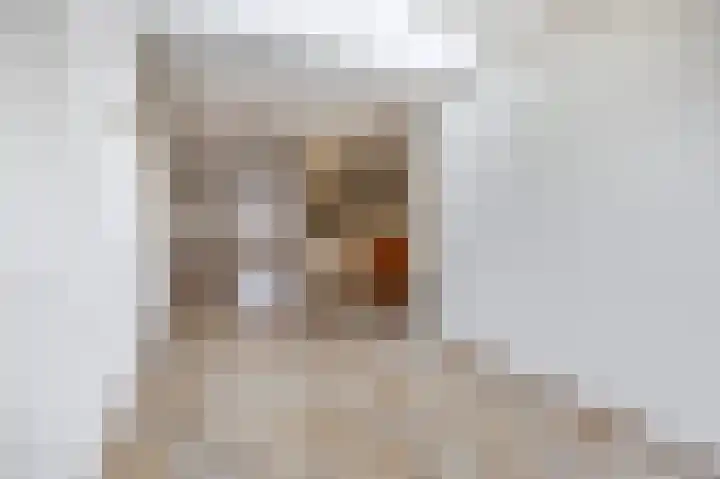 Tiboschlaan 45 Schijndel thumbnail 9