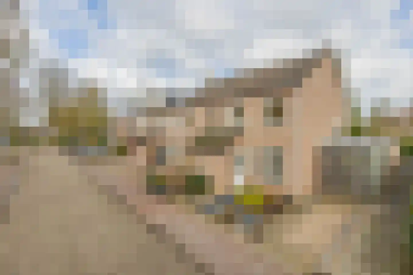 Tiboschlaan 47 Schijndel thumbnail 33