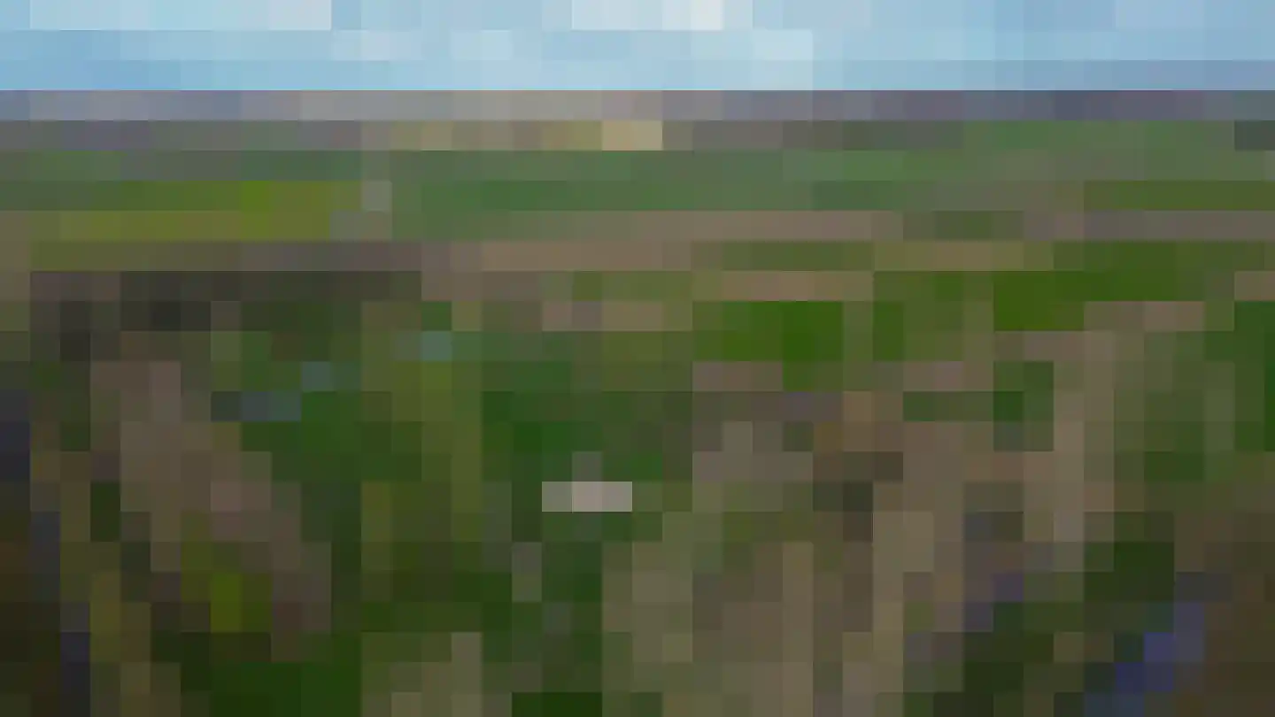 Tiboschlaan 47 Schijndel thumbnail 35