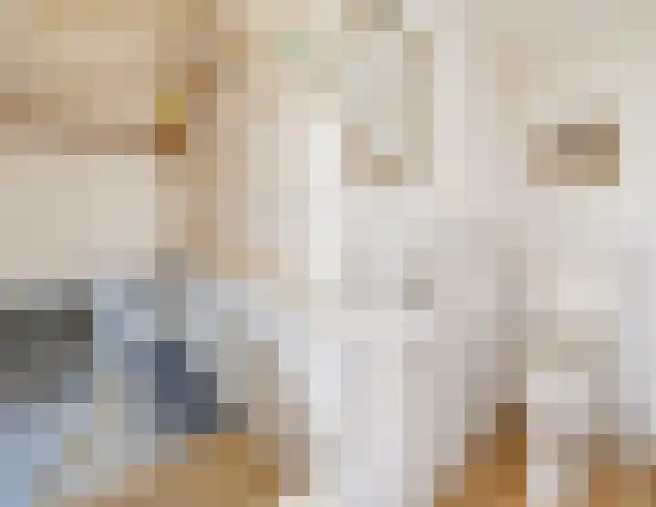 Tibsterwei 32 Ie thumbnail 12