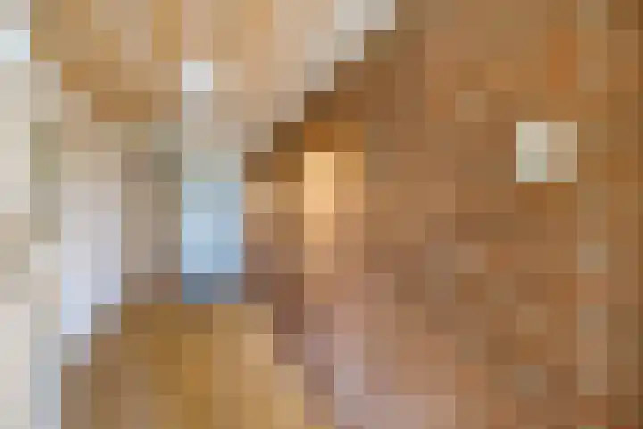 Tibsterwei 32 Ie thumbnail 30