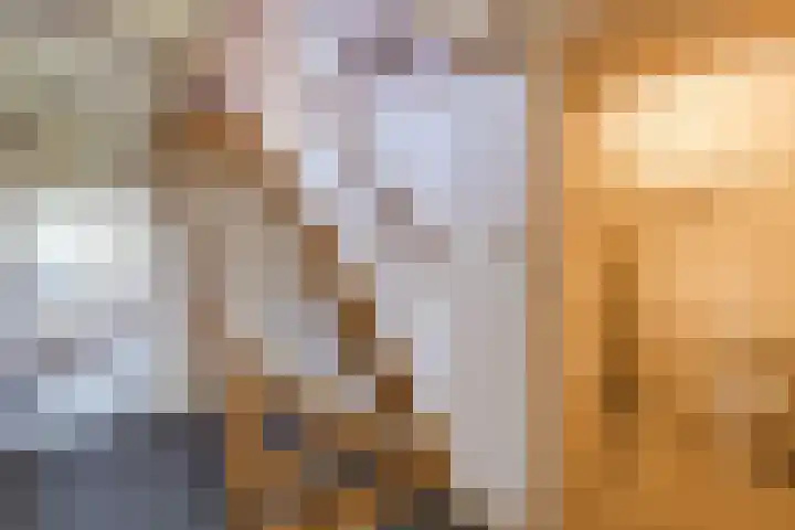Tibsterwei 32 Ie thumbnail 32