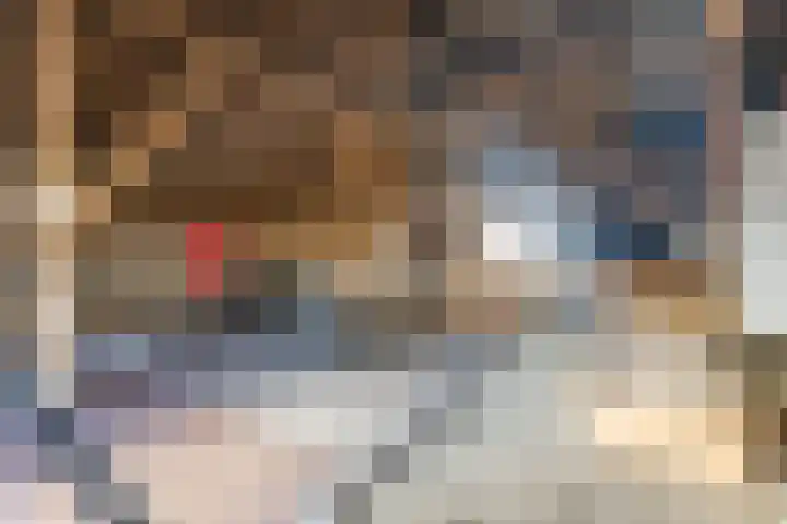 Tibsterwei 32 Ie thumbnail 50