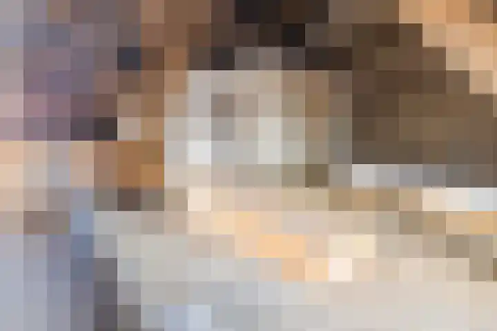 Tibsterwei 32 Ie thumbnail 51