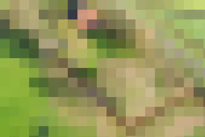 Tibsterwei 32 Ie thumbnail 53