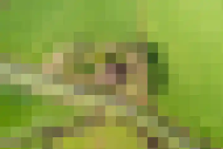 Tibsterwei 32 Ie thumbnail 54