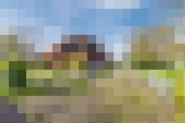 Tibsterwei 32 Ie thumbnail 56