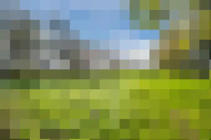 Tibsterwei 32 Ie thumbnail 60