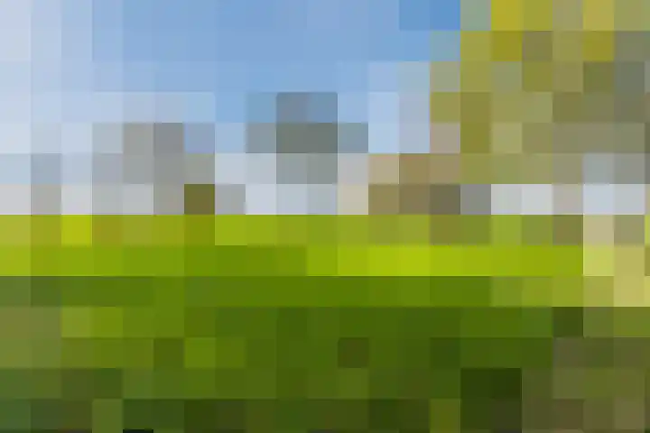 Tibsterwei 32 Ie thumbnail 61